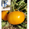 Tomate Utyonok Micro Dwarf , 10 semillas (109)