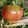 Tomate Dwarf Noah's Stripes , 10 semillas