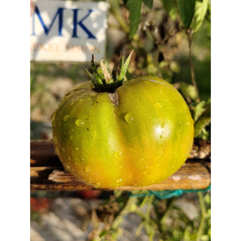 Tomate Ewergreen , 10 semillas (188)