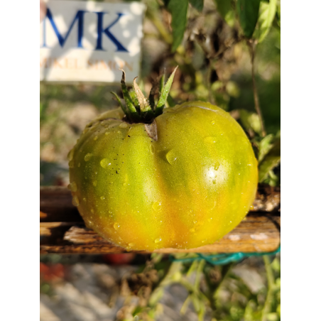 Tomate Ewergreen , 10 semillas (188)