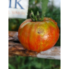 Tomate Berkeley Tie Dye Heart , 10 semillas (329)
