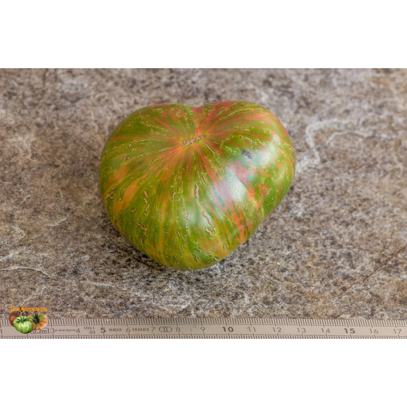 Tomate Green Lantern Lights , 10 semillas