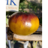 Tomate Wolverine , 10 semillas (272)
