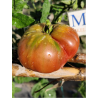 Tomate Indian Stripe , 10 semillas