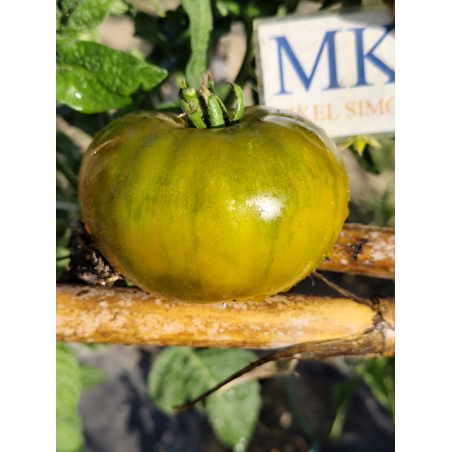 Tomate Frog Princess , 10 semillas (279)