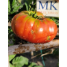 Tomate Mashenka , 10 semillas (291)