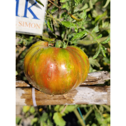 Tomate Queen Anne, 10 semillas (321)