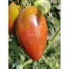 Tomate Purple Isonica , 10 semillas