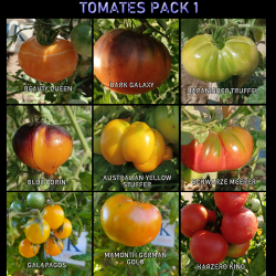 Lote de Tomates ,9 variedades,90 semillas