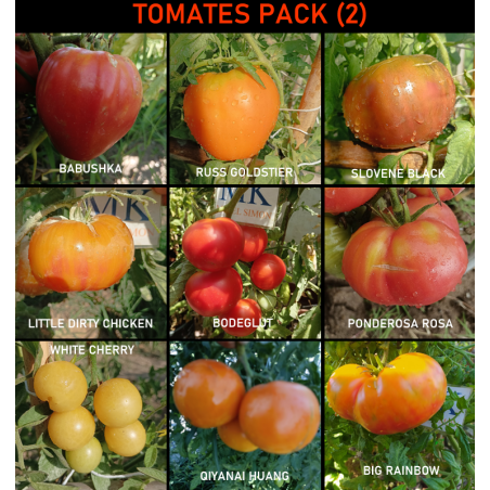 Lote de semillas de tomates ,9 variedades , 90 semillas , Tomates Pack