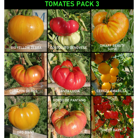 Lote de semillas de Tomates , 9 variedades , 90 semillas
