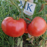 Tomate Ikarus , 10 semillas