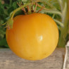 Tomate Dwarf Lemon Ice , 10 semillas (103)