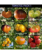 Lotes de Sementes de Tomate